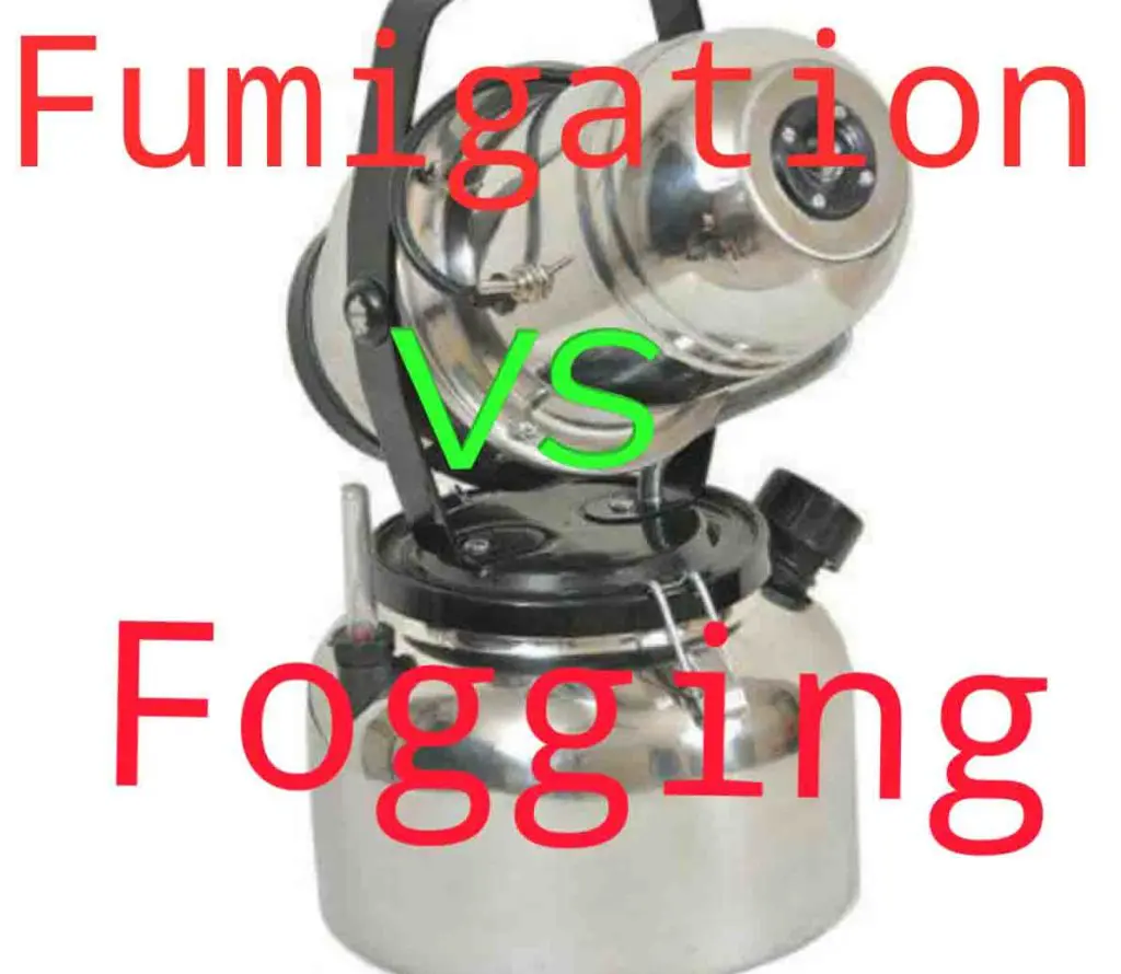 fumigation vs fogging