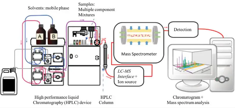 diagram of an LC-MS setup
