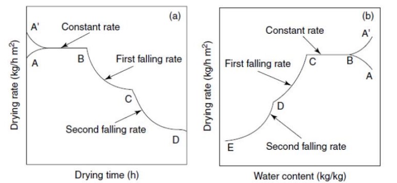 Rate of Drying curve