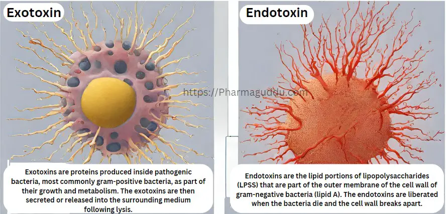 Differences Between Exotoxins and Endotoxins