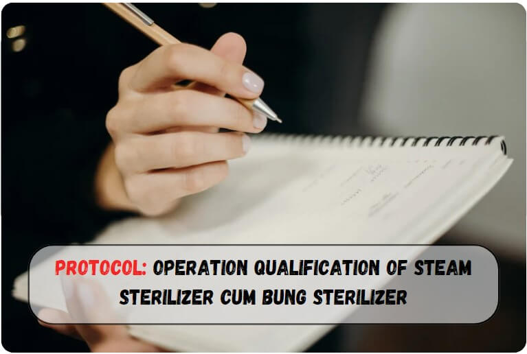 A pharmaceutical chemist along with documents and a pen involving in Operation Qualification of Steam Sterilizer cum Bung Sterilizer