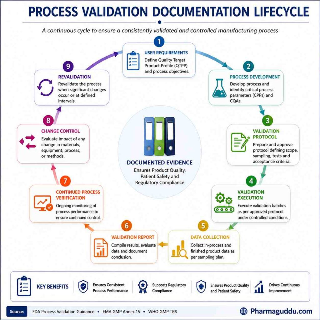 Process validation documentation lifecycle showing the sequence from user requirements and process development through validation protocol, execution, data collection, validation reporting, continued process verification, change control, and revalidation.