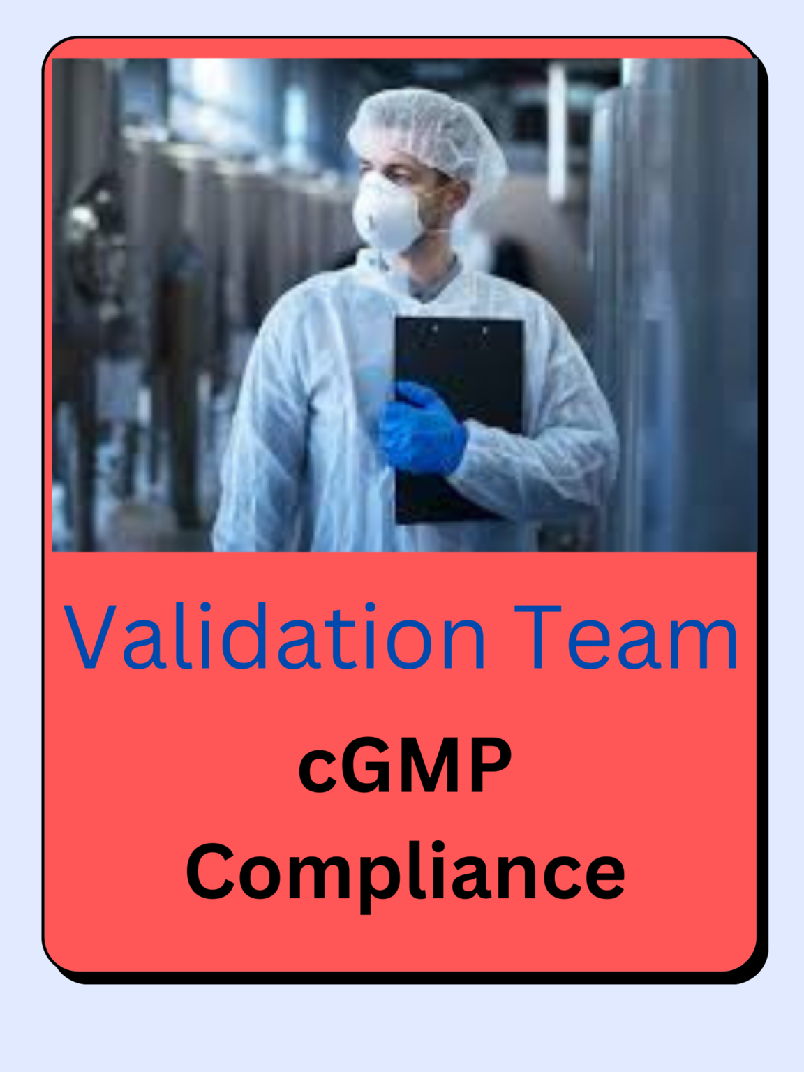 Responsibilities of the Validation Team to Meet the cGMP Compliance