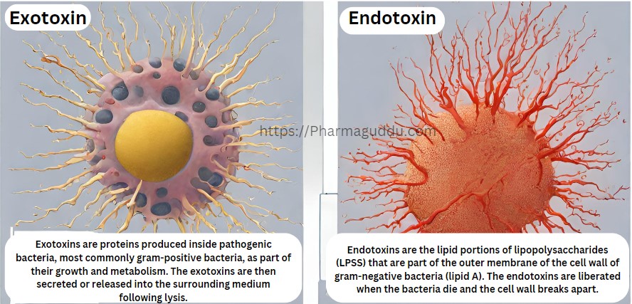 Difference Between Endotoxins and Exotoxins