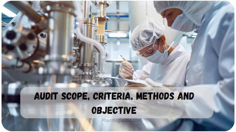 Pharmaceutical Audit Scope, Criteria, Methods and Objective