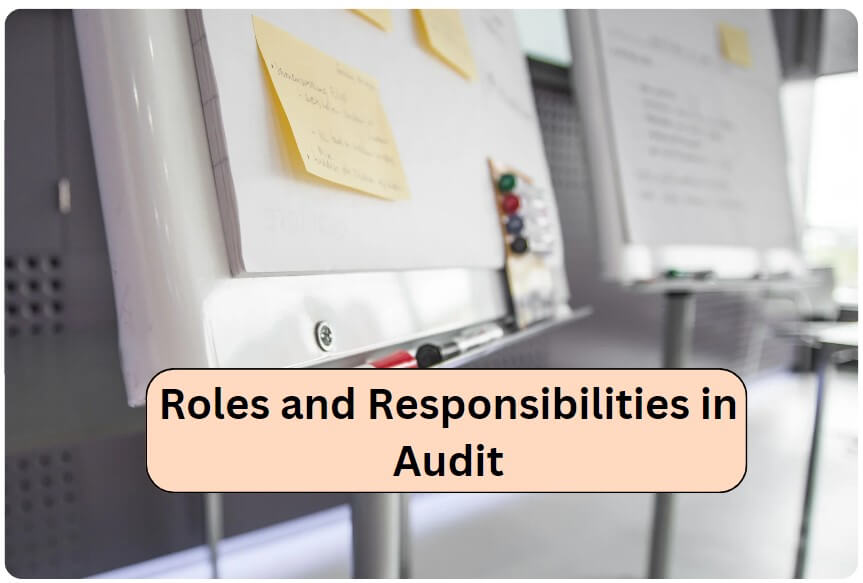 Roles and Responsibilities in Audit