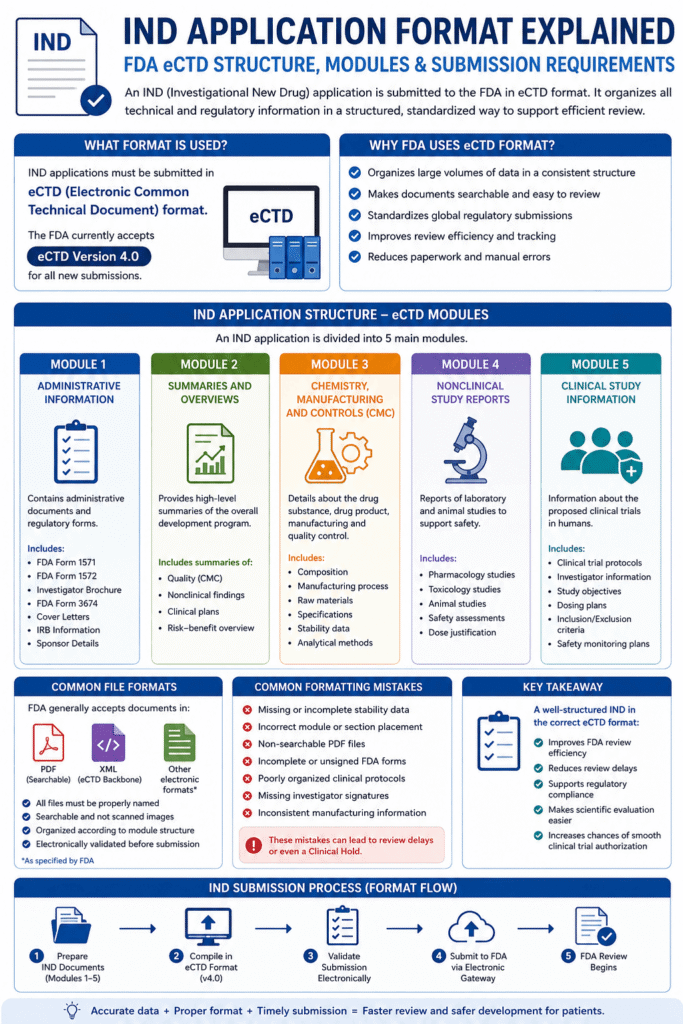 Infographic explaining the FDA IND application process with eCTD modules, clinical protocols, CMC documentation, and regulatory submission requirements.