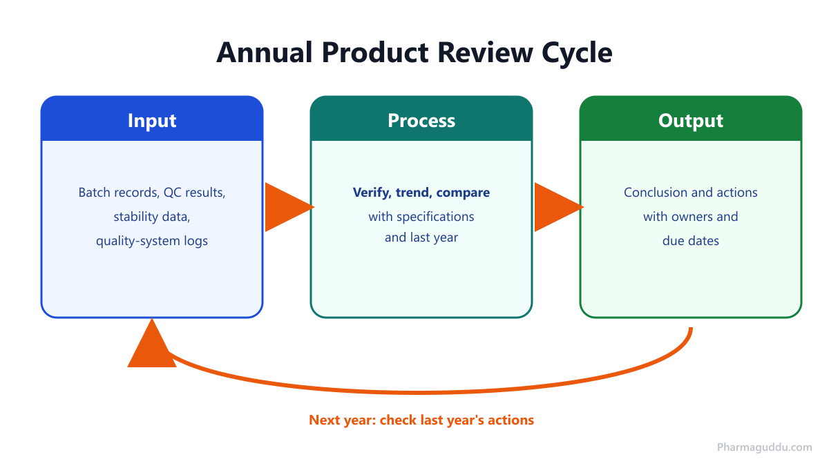 Infographic showing the annual product review (APR / PQR) cycle from data collection to trending, conclusions and CAPA.